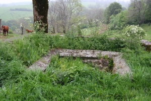 Lavoir en pierre accompagné d'un petit puits en pierre