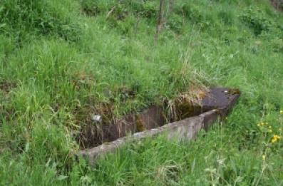 Bac lavoir en ciment.