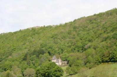 Verdure et château